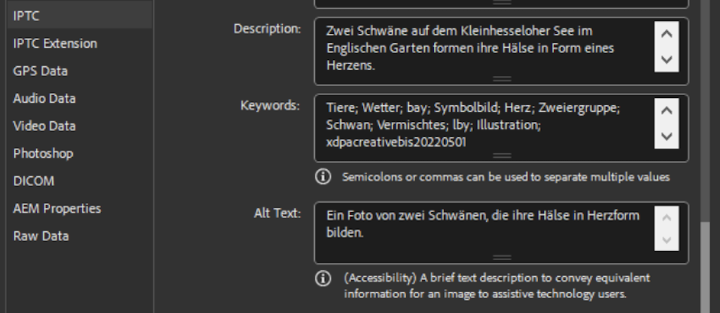 Dateiinformationen in einer Bilddatenbank